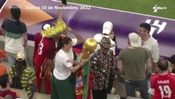 Llegaron las selecciones nacionales a Qatar para dar comienzo al Mundial de Fútbol. Llegaron las selecciones nacionales a Qatar para dar comienzo al Mundial de Fútbol.