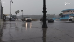 CDC advierte que virus de oropouche produce contagios por viajeros de Cuba CDC advierte que virus de oropouche produce contagios por viajeros de Cuba