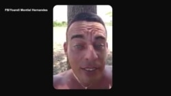 “El gato de Cuba” registra y transmite imágenes de la vida en la isla “El gato de Cuba” registra y transmite imágenes de la vida en la isla