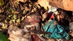 Info Martí | Guantánamo: Oropouche, dengue y otros males Info Martí | Guantánamo: Oropouche, dengue y otros males