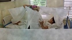 Noticias de Cuba en 5 minutos | 02/21/2024 Una doctora atiende a un paciente de dengue en un hospital de Santiago de Cuba. (Reuters/Archivo)