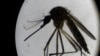 La situación del dengue en Cuba tendrá picos en octubre y noviembre