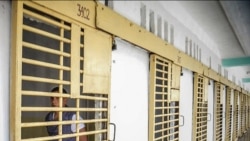 M110_112222.wav M110_112222.wav