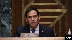 Marco Rubio, senador republicano por la Florida. (Joe Raedle / AFP).