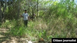 Tras la ruta de las 'reses perdidas'