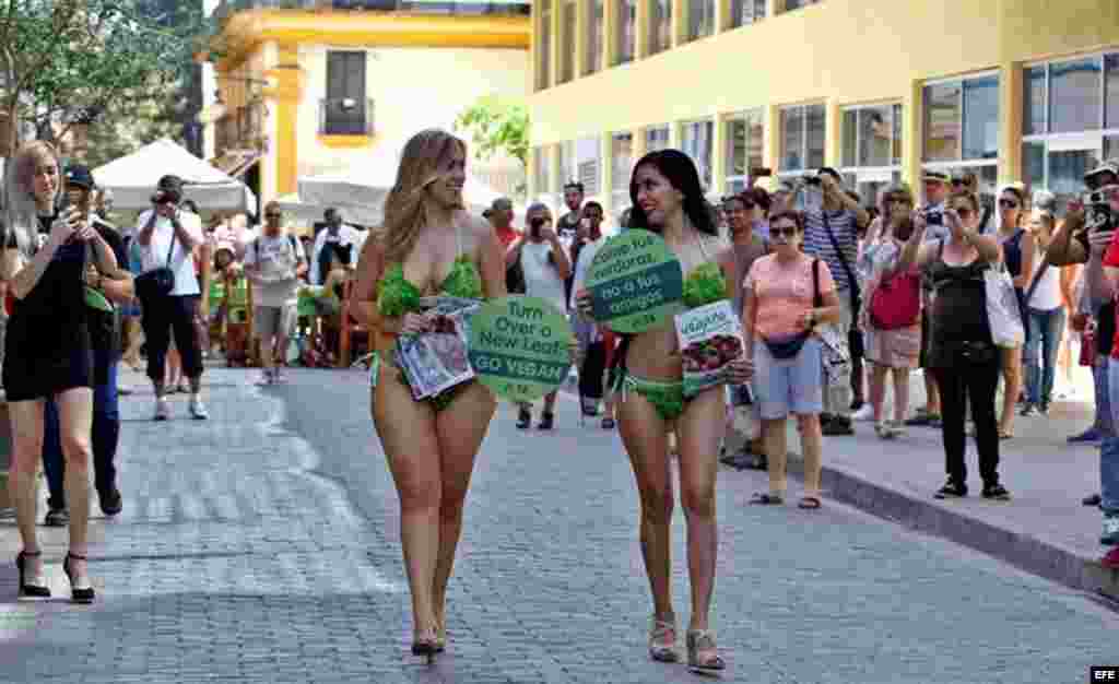 Mujeres pertenecientes a las "Damas lechuga", de la ONG Personas por el Trato Ético de los Animales (PETA), caminan por las calles de La Habana como parte de su campaña que pide a los cubanos que no coman carne.  