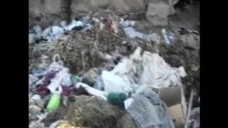 Vías para propagar epidemias Vías para propagar epidemias