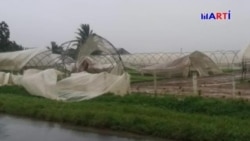 El huracán Michael dejará un fuerte impacto en la economía de Cuba El huracán Michael dejará un fuerte impacto en la economía de Cuba