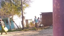 Declaraciones de Daily Rodríguez Declaraciones de Daily Rodríguez