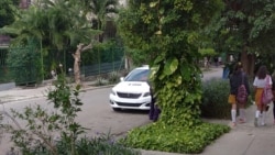 Declaraciones de Héctor Luis Valdés Cocho Declaraciones de Héctor Luis Valdés Cocho