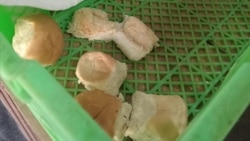 Noticias de Cuba en 5 minutos | 05/27/2025 Facebook Mambisa Agramontina (Social Media)