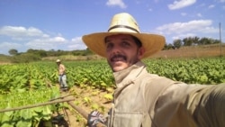 Declaraciones del periodista independiente Alexeys Blanco para Radio Martí Declaraciones del periodista independiente Alexeys Blanco para Radio Martí