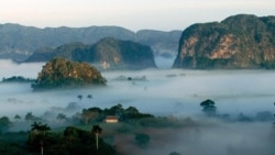 Hoy con Henry Laso, Eduardo Amaro y los hermanos Omara y Ariel Ruiz Urquiola Hoy con Henry Laso, Eduardo Amaro y los hermanos Omara y Ariel Ruiz Urquiola