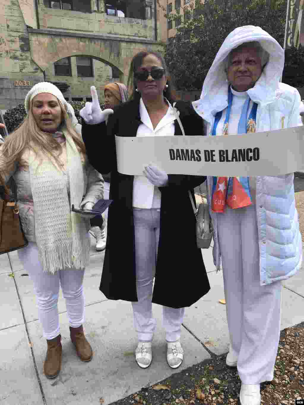 Exiliados cubanos se manifiestan en Washington para exigir la liberación de José Daniel Ferrer. (Foto: Michelle Sagué)