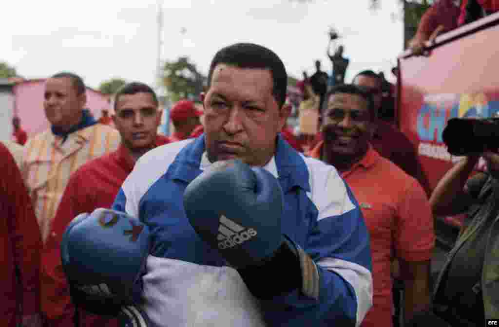 Fotografía cedida por el Palacio de Miraflores hoy, lunes 24 de septiembre de 2012, del presidente venezolano, Hugo Chávez, durante una caravana electoral en la ciudad de Acarigua, Estado Portuguesa (Venezuela).