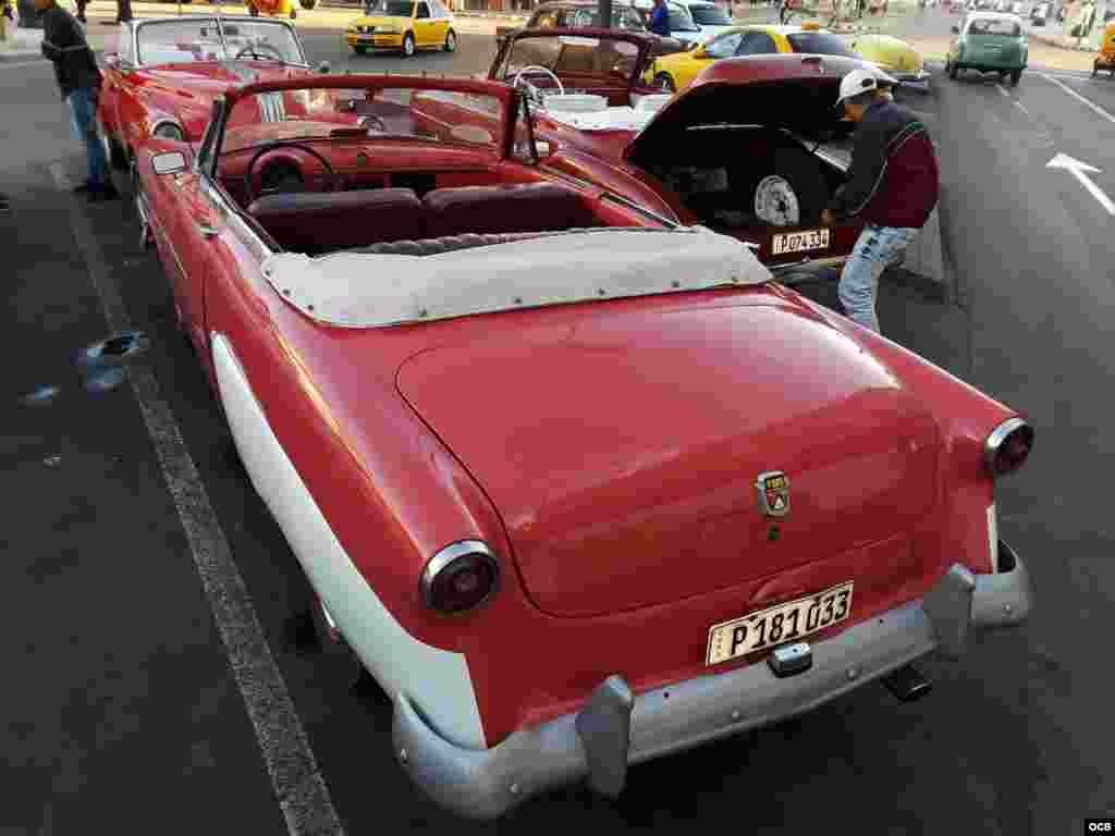 Almendrón a la espera de turista.