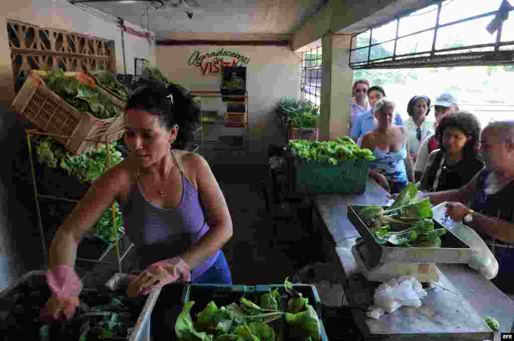 La producción de hortalizas fue de 7,800 miles de toneladas menos, los decrecimientos se localizan en tomate,cebolla, ajo, melón y col.