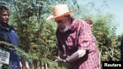 Fidel Castro en labores agrícolas con la moringa.