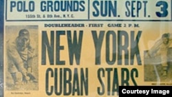 Ligras Negras en EE UU