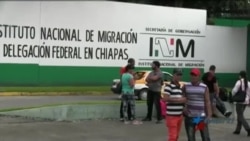 Indetenible migración irregular de cubanos por tierra Indetenible migración irregular de cubanos por tierra
