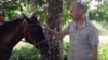 El científico cubano Ariel Ruiz Urquiola en su finca de Viñales. (Captura de video/El Estornudo)