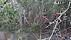 Balseros de Manzanillo se filmaron antes de zarpar Balseros de Manzanillo se filmaron antes de zarpar