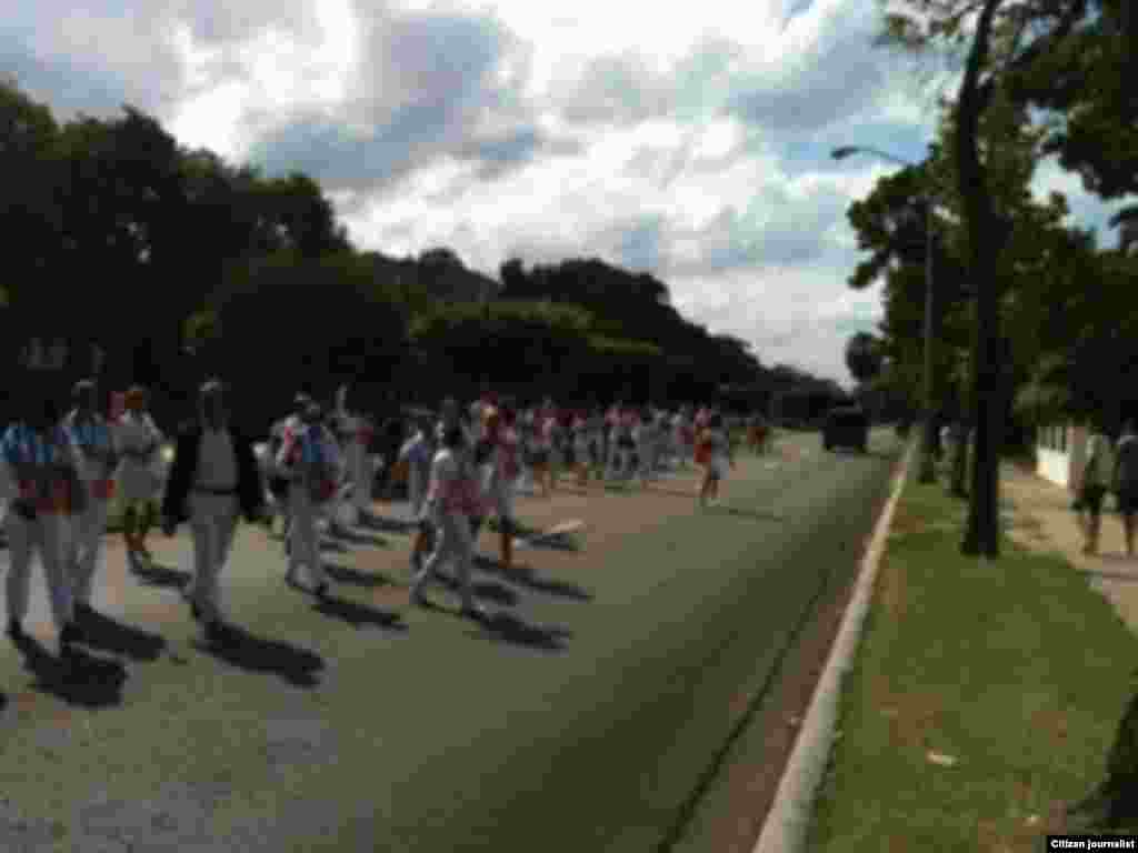  Damas de Blanco marchan por 5ta Avenida