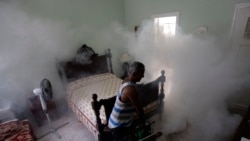 Prolifera el dengue en provincias centrales Prolifera el dengue en provincias centrales