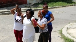 Liberan a Berta Soler tras más de 22 horas detenida Liberan a Berta Soler tras más de 22 horas detenida