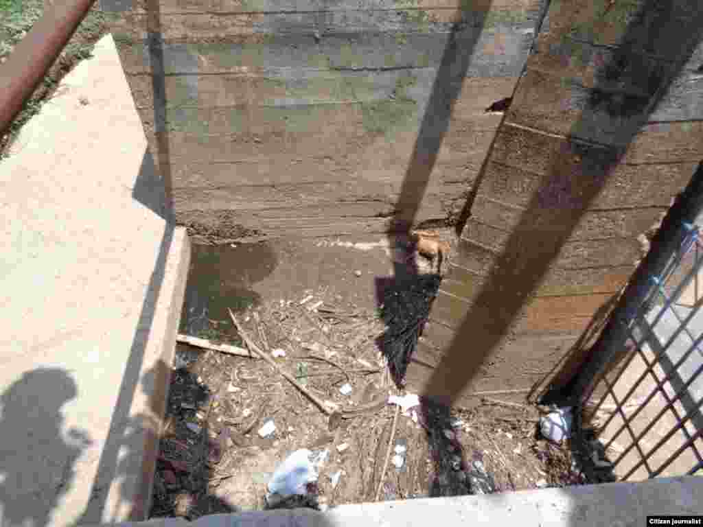 Reporta Cuba En pésima situación la cuenca del Ariguanabo Foto Misael Aguilar