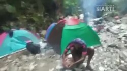 Cubanos acampan en la selva del Darién Cubanos acampan en la selva del Darién