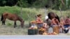 Una familia de campesinos cubanos vende mangos en la carretera.
(REUTERS/Desmond Boylan/Archivo)