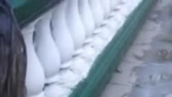 La pesca de clarias en Santa Clara La pesca de clarias en Santa Clara