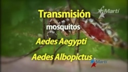 Lo que necesitas saber sobre el virus del Zika Lo que necesitas saber sobre el virus del Zika