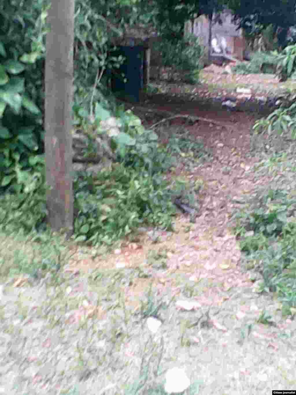 Reporta Cuba Barrios marginales Foto Barbara Fdez