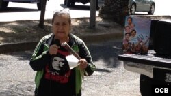 Protesta de simpatizantes del gobierno cubano