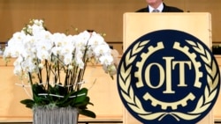 OIT expone por quinta vez violaciones de derechos a trabajadores en Cuba OIT expone por quinta vez violaciones de derechos a trabajadores en Cuba