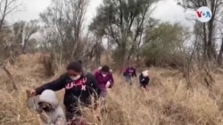 Declaraciones de Alejandro Mayorkas, secretario de Seguridad Nacional de los EEUU Declaraciones de Alejandro Mayorkas, secretario de Seguridad Nacional de los EEUU