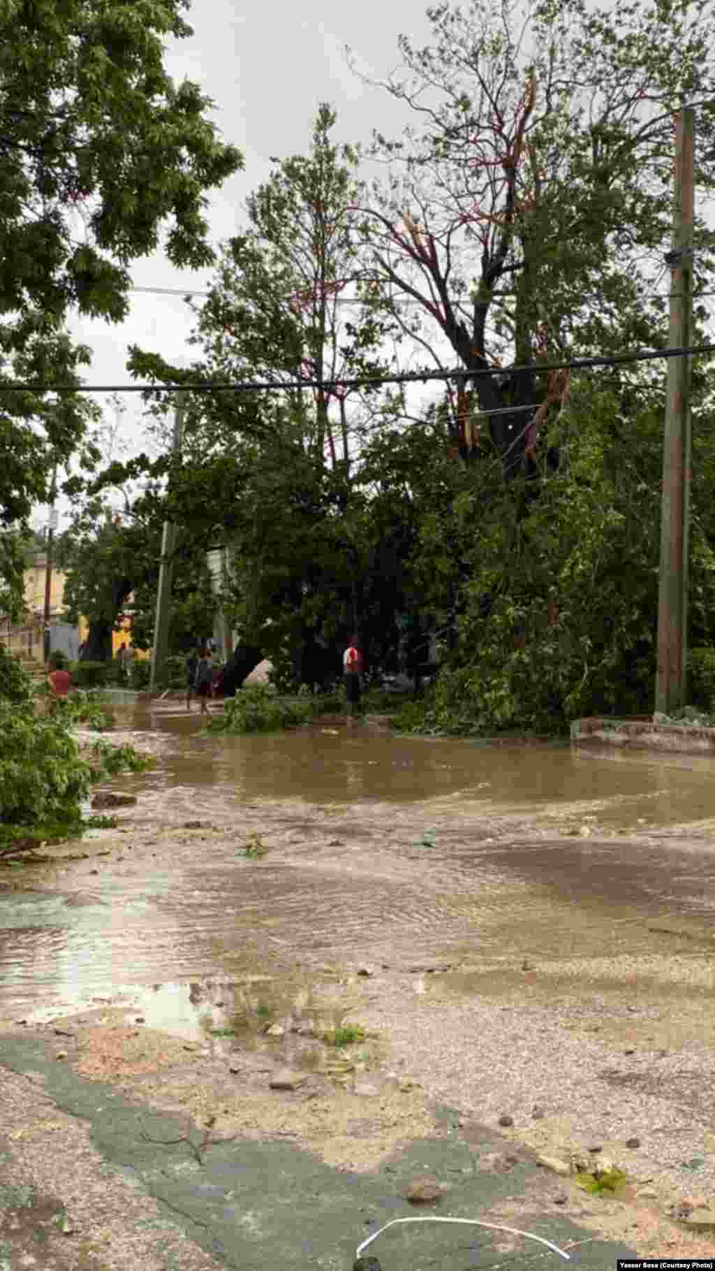 Árboles caídos y calles inundadas, en Santiago de Cuba.