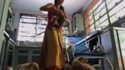 Bienestar animal en Cuba: "Somos de los países más atrasados" (VIDEO) Bienestar animal en Cuba: "Somos de los países más atrasados" (VIDEO)