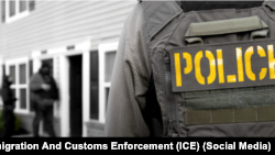 Imagen de referencia